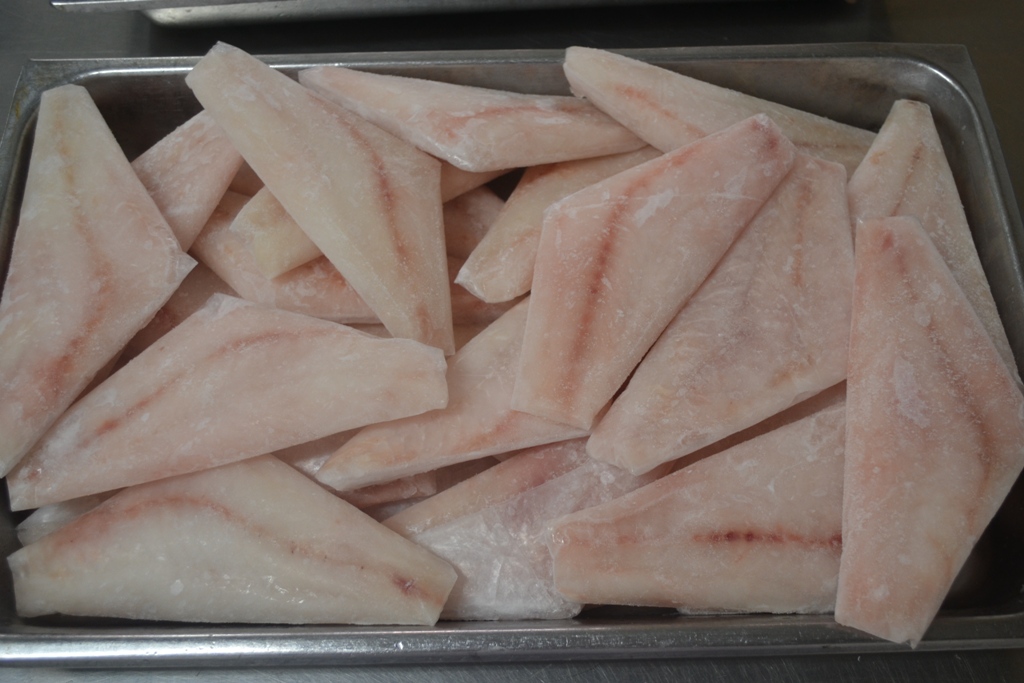 Grouper Fillet